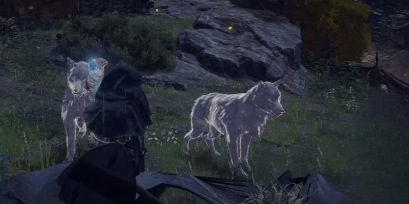 Embark on the Quest for Lone Wolf Ashes in Elden Ring image