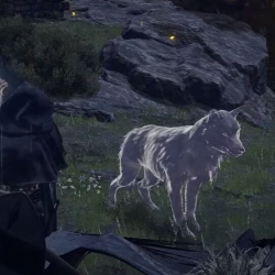 Image for article 'Embark on the Quest for Lone Wolf Ashes in Elden Ring'