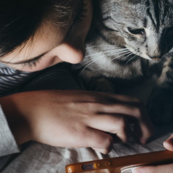 Image for article 'Best iOS Apps If You Have a Pet'